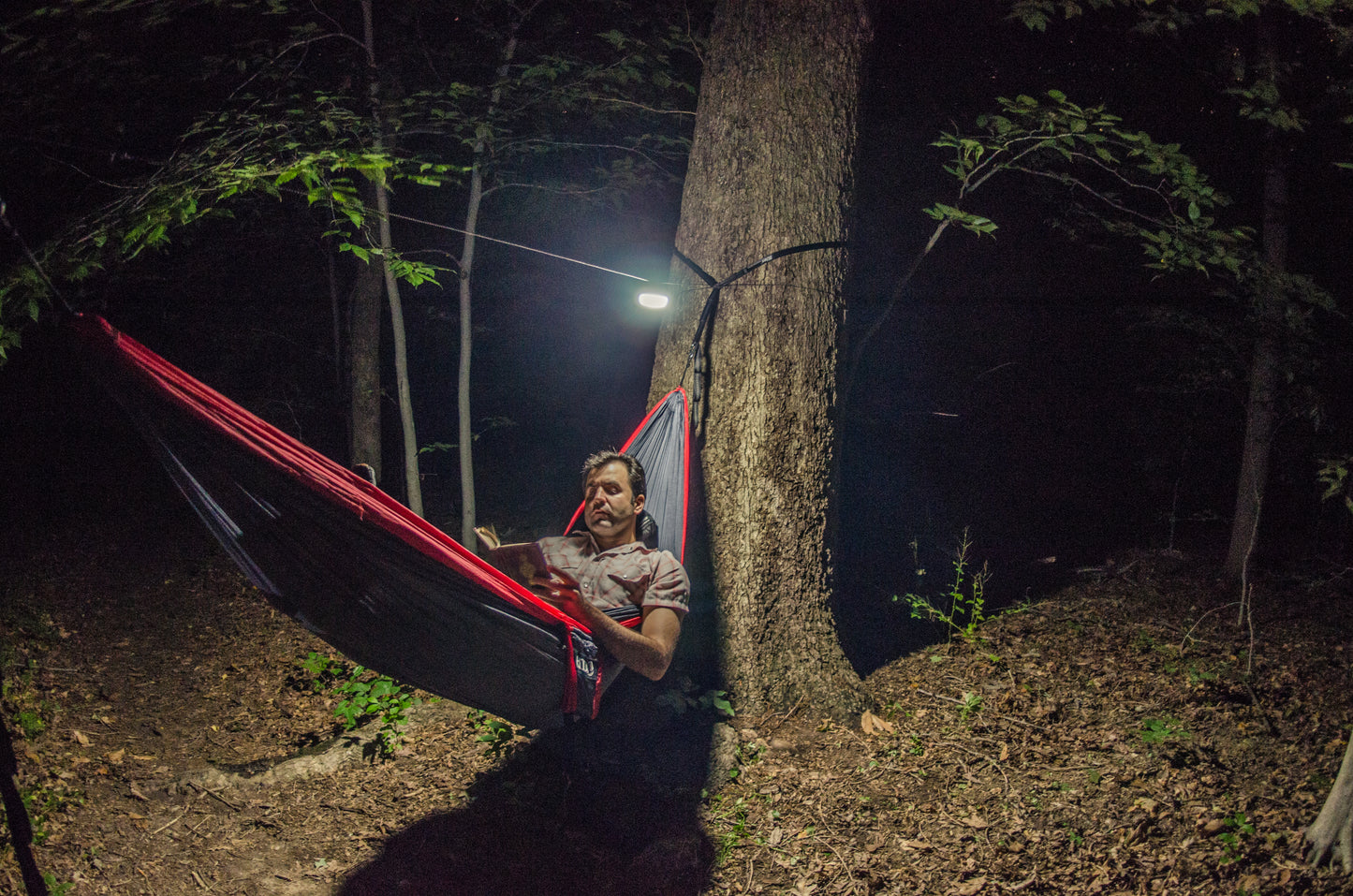 Moonshine™ Lantern