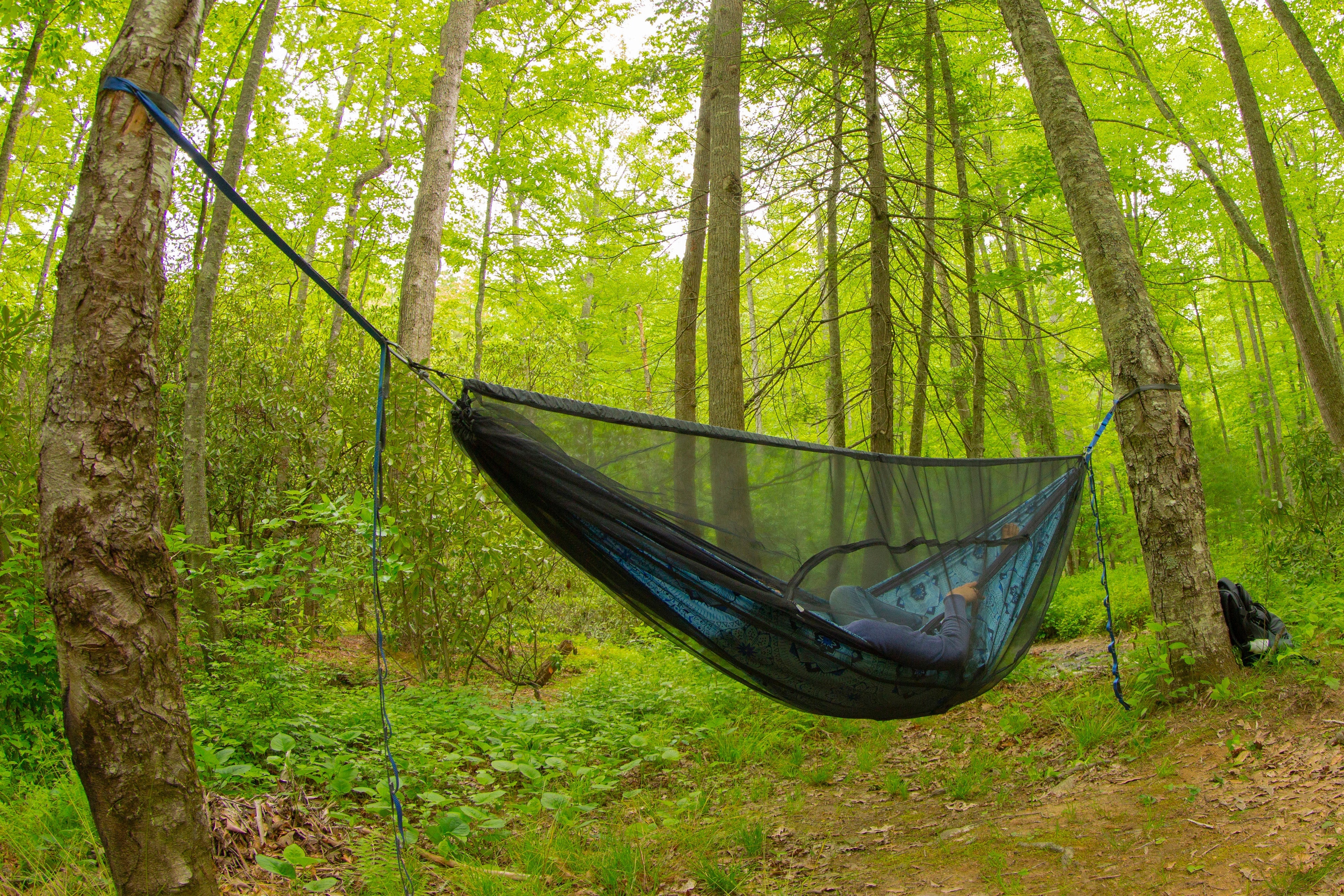 Guardian SL™ Bug Net – Eagle's Nest Outfitters Japan