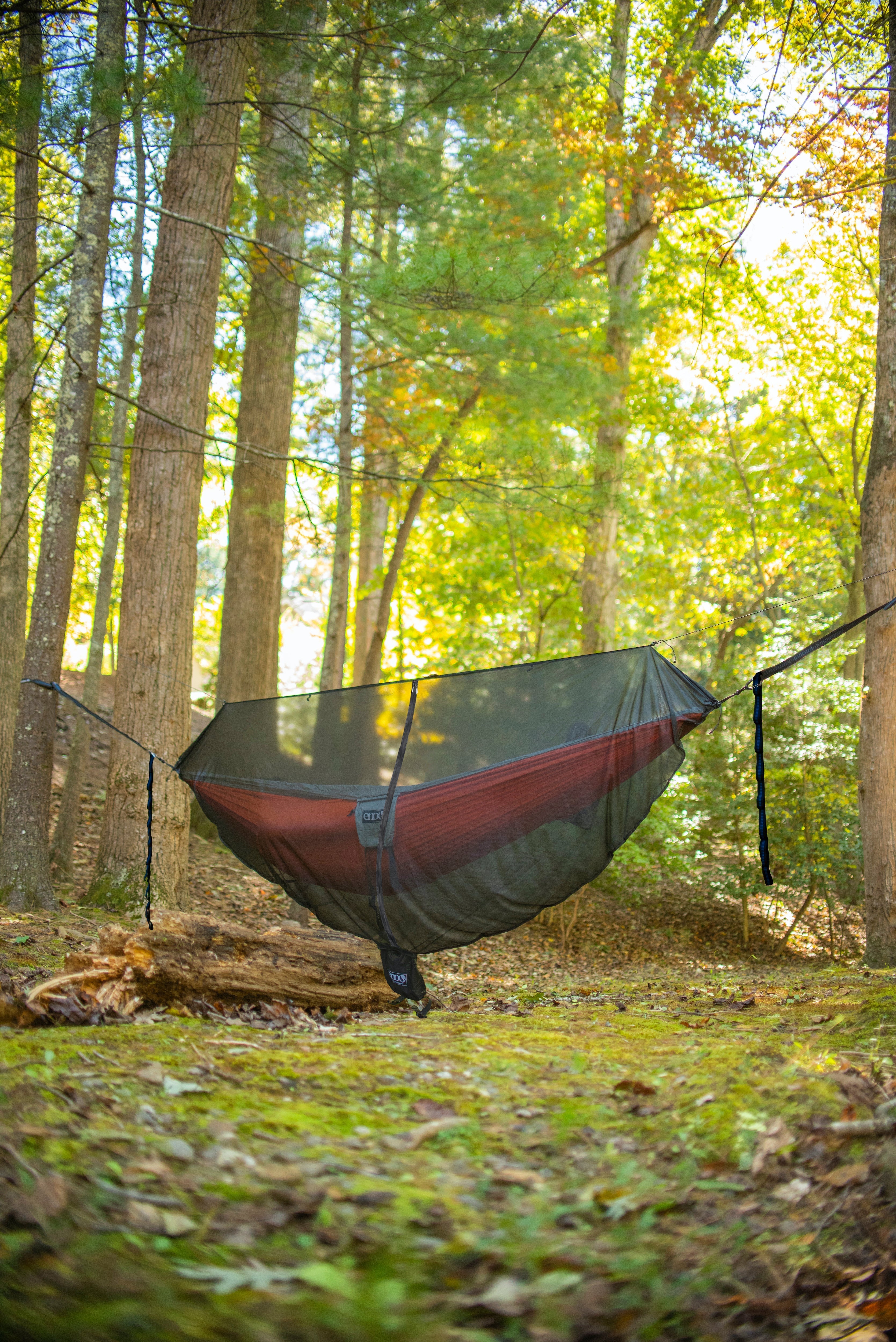 Guardian™ Bug Net – Eagle's Nest Outfitters Japan