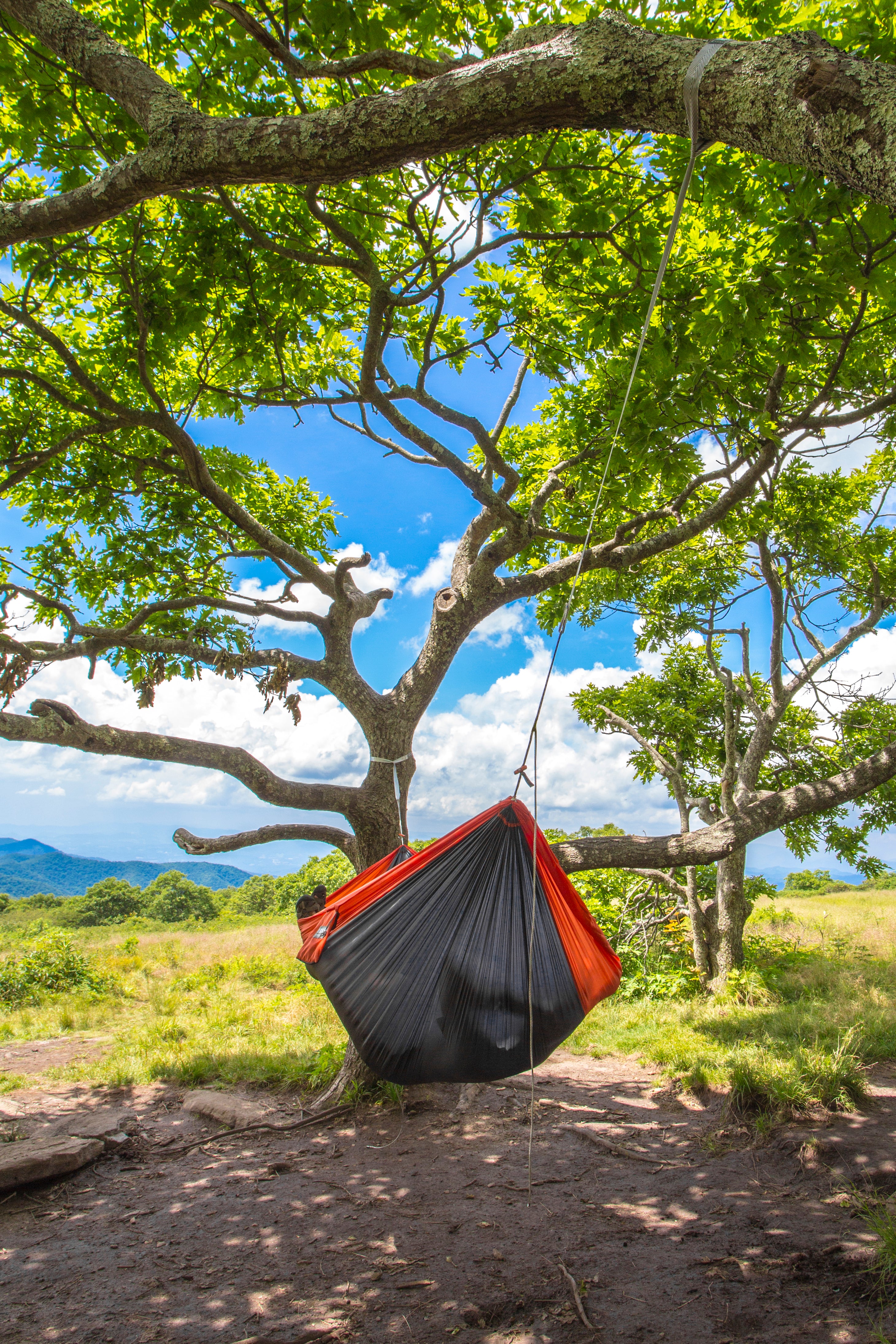 SuperSub™ Ultralight Hammock – Eagle's Nest Outfitters Japan